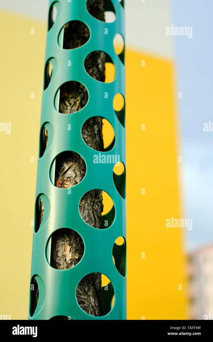 Una plastica piantate di corteccia di albero di protezione Foto Stock