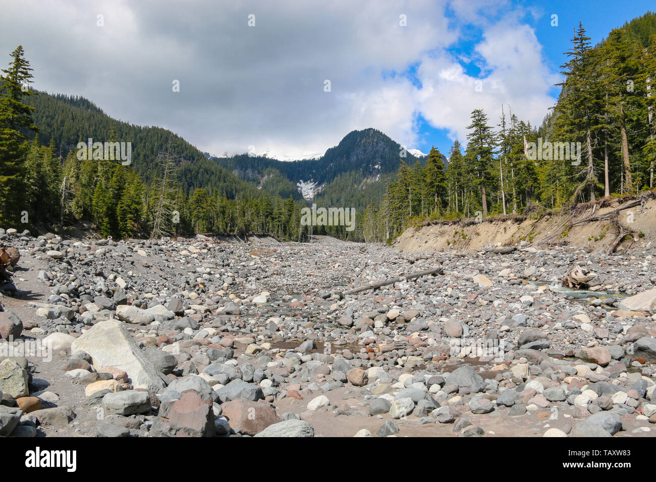 Paradise River, il Parco Nazionale del Monte Rainier Foto Stock