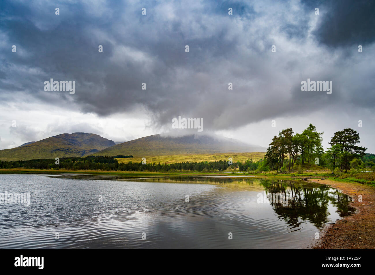 Loch Tulla, Bridge of Orchy, Scozia. Loch Tulla è un piccolo loch vicino a Glen Coe e Rannoch Moor nelle highlands centrali della Scozia sul West Highland Way Foto Stock