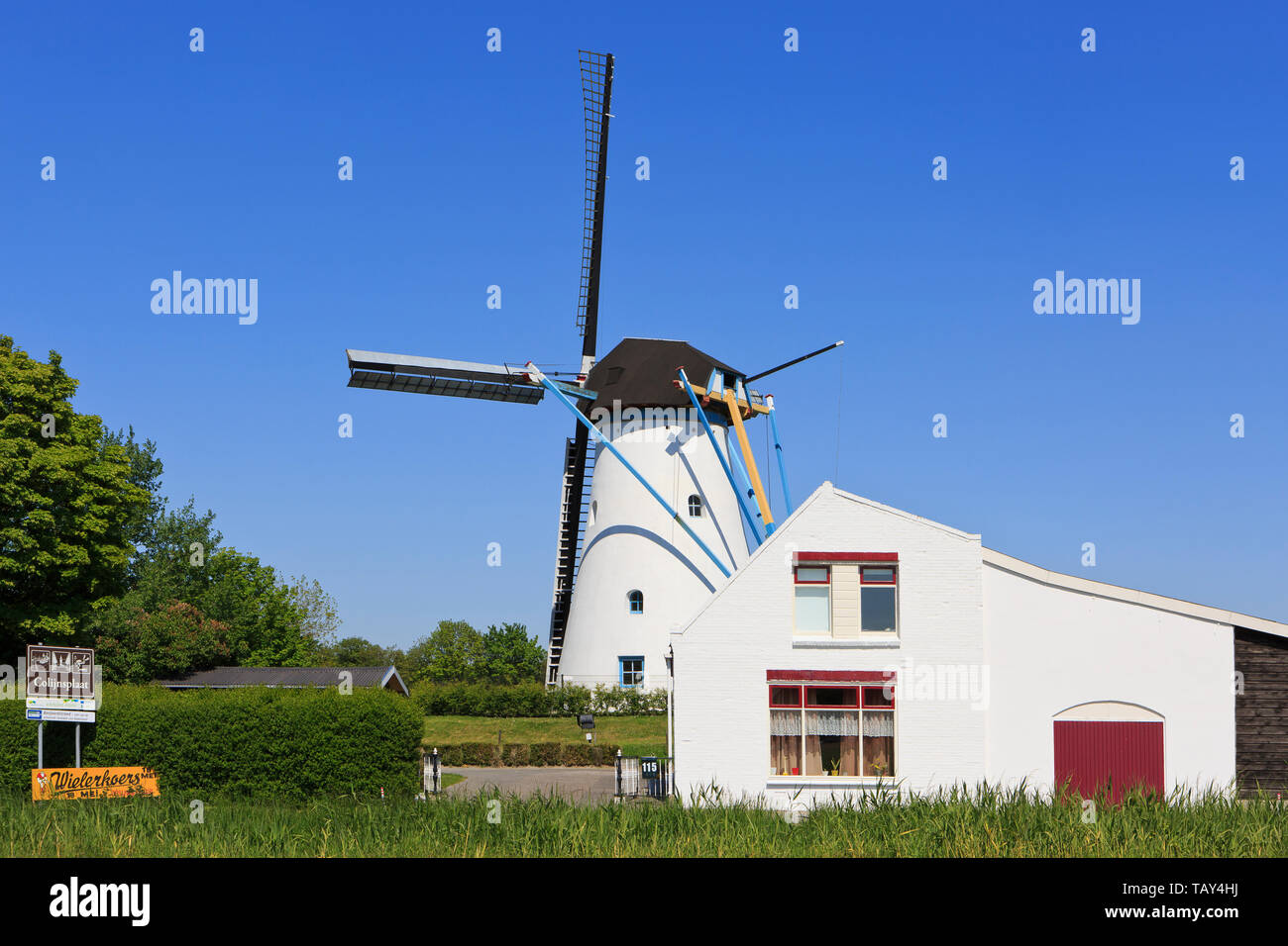 Il Vecchio Mulino (De Oude Molen), un Grist Mill (1727) in Colijnsplaat (Zeeland), Paesi Bassi Foto Stock