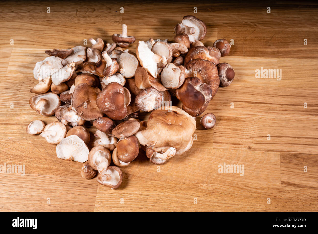 Fresco di funghi cremini pronto per la preparazione su una tabella Foto Stock