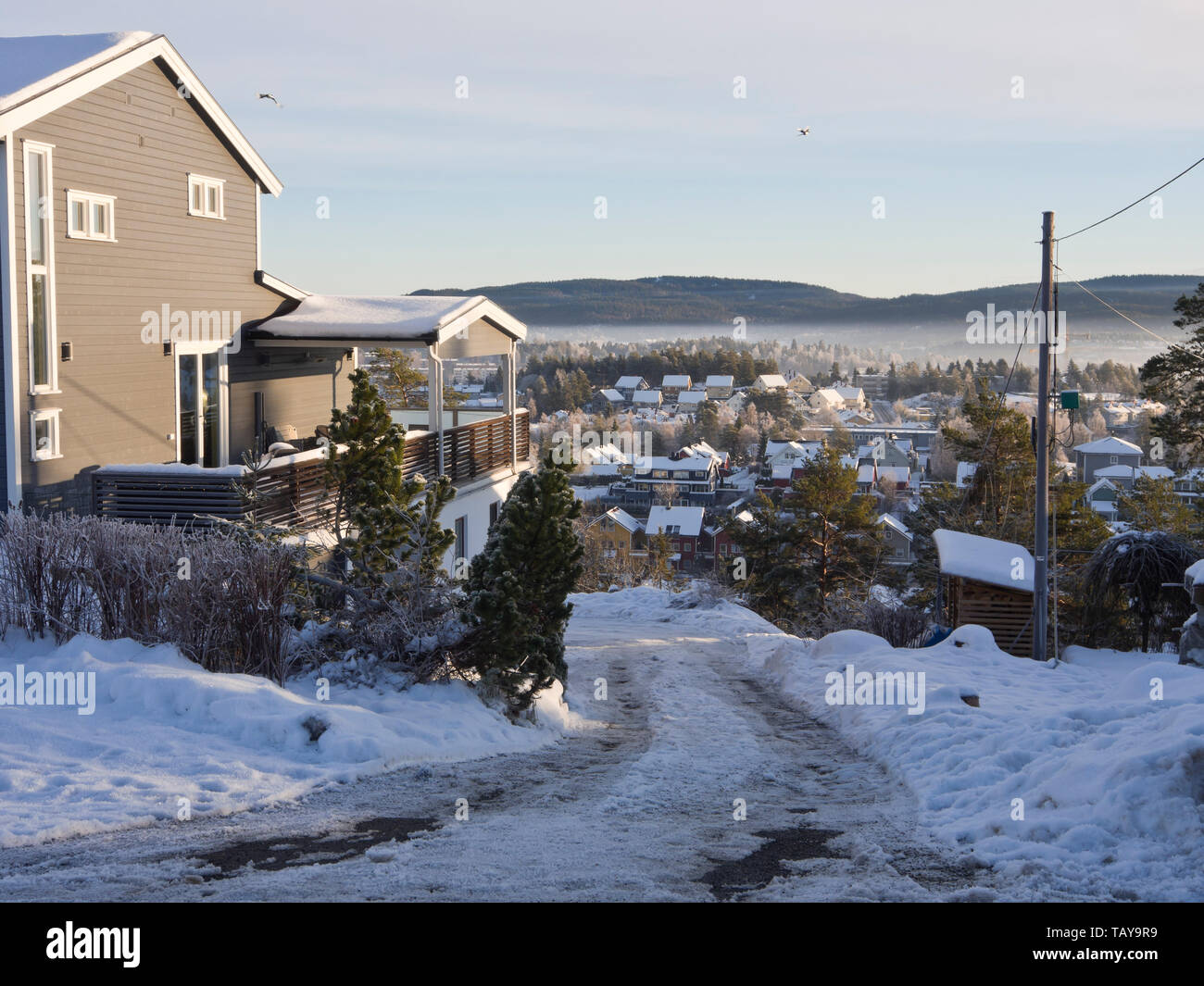 Suburbana vista invernale di case e di foresta in Rasta Lorenskog est di Oslo Norvegia Foto Stock