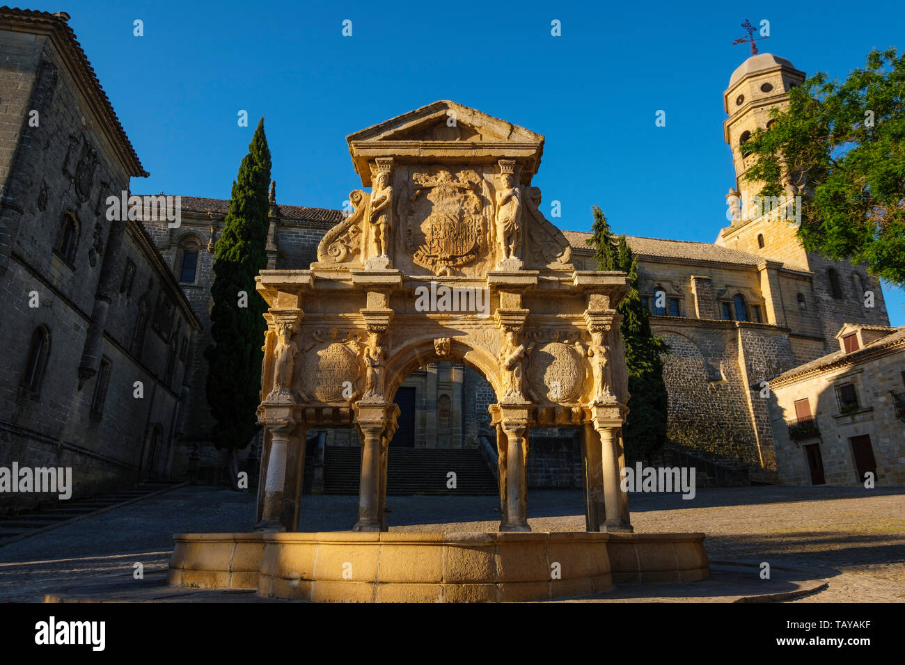 Catedral de la Natividad de Nuestra Señora. Lo stile rinascimentale Cattedrale e fontana di Santa Maria. Baeza, provincia di Jaén. southern Andalusia. Spagna e Foto Stock