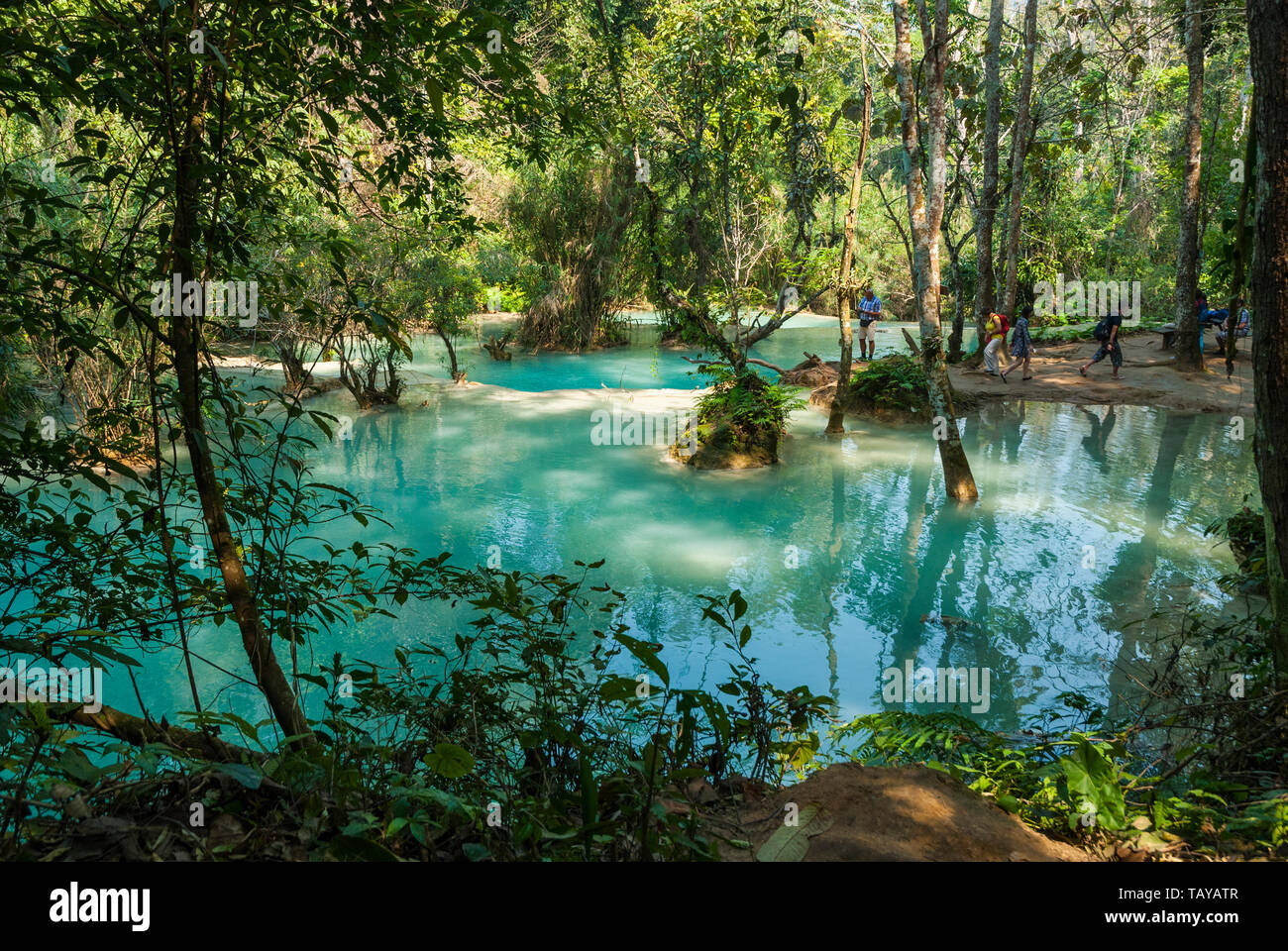 Luang Prabang, Laos - Feb 2016: persone che visitano Kuang Si cascate e scattare foto, una delle più grandi attrazioni della zona Foto Stock