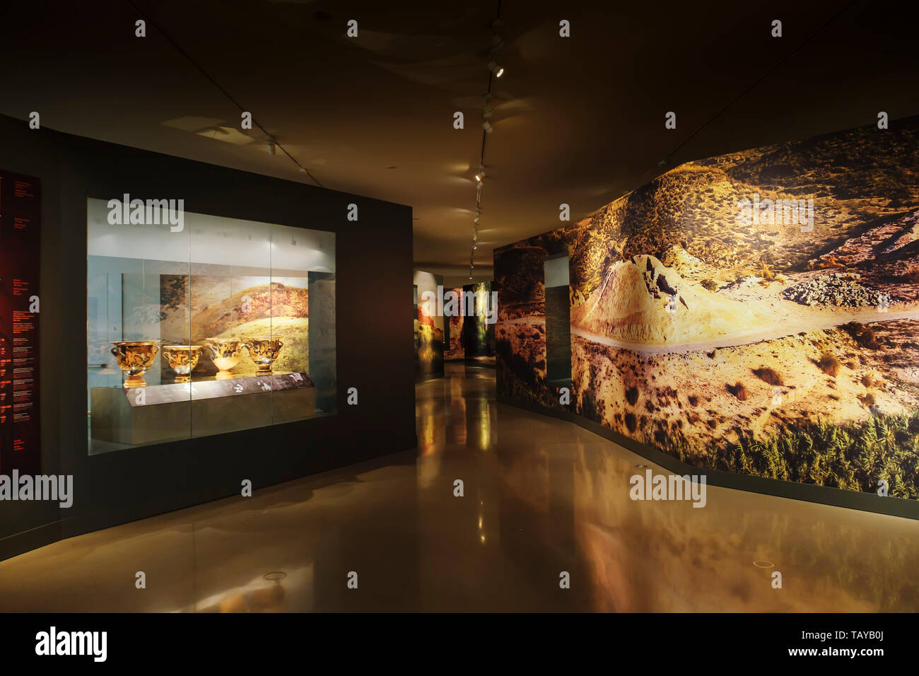 Vista generale del iberica mostra d'arte. Il Museo iberica. Jaén, southern Andalusia. Spagna europa Foto Stock