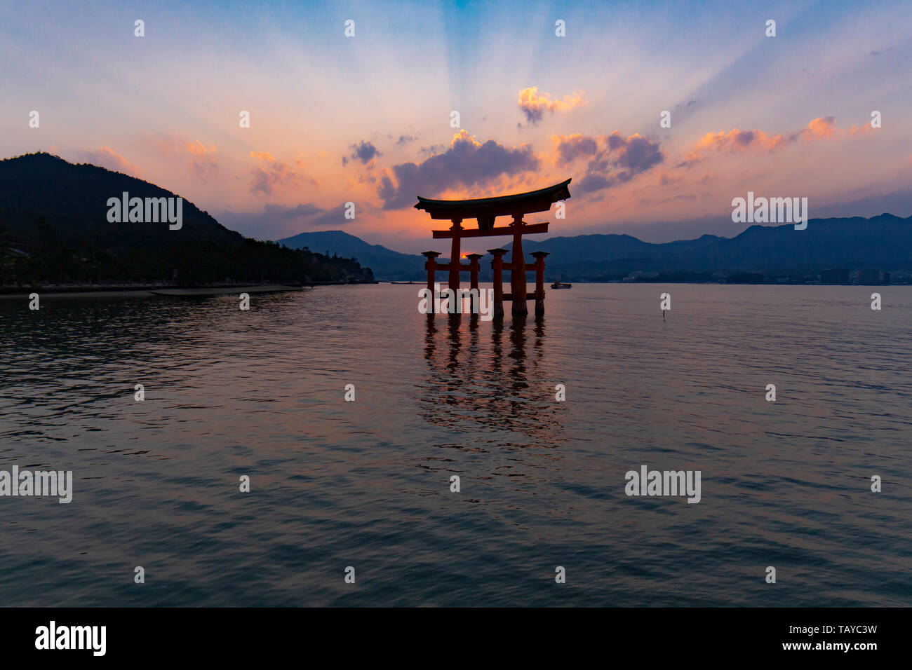 Il grande Torii di Sacrario di Itsukushima al tramonto - Miyajima, Giappone Foto Stock