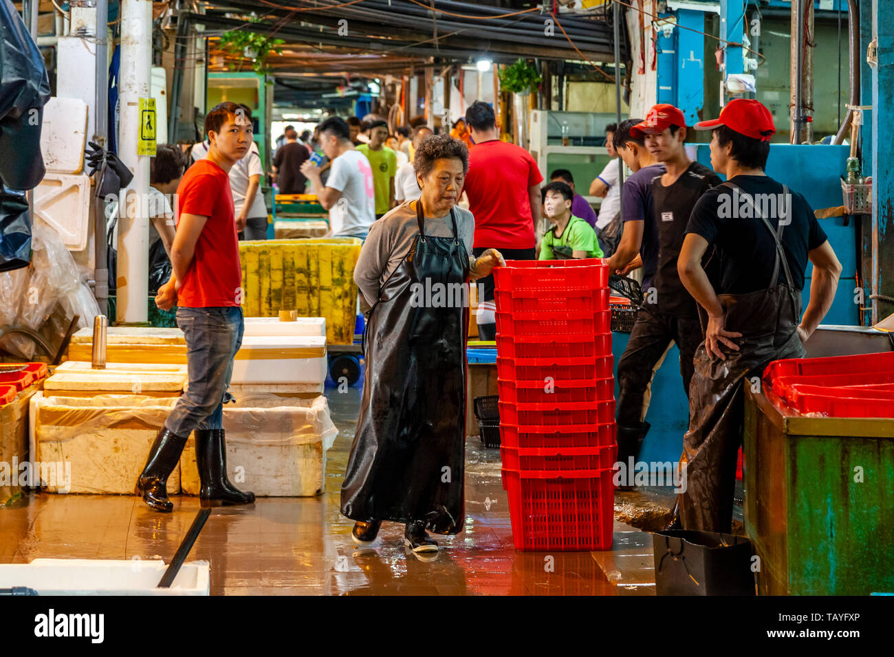 Il commercio all'ingrosso Mercato del Pesce, Aberdeen, Hong Kong, Cina Foto Stock