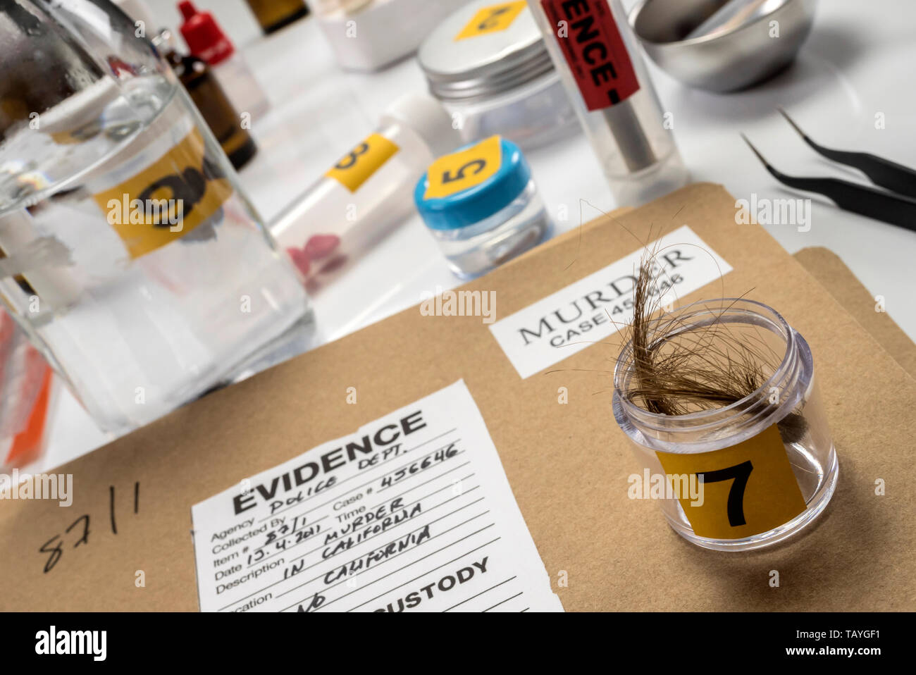 Laboratorio Criminalistic, analisi del capello, immagine concettuale Foto Stock