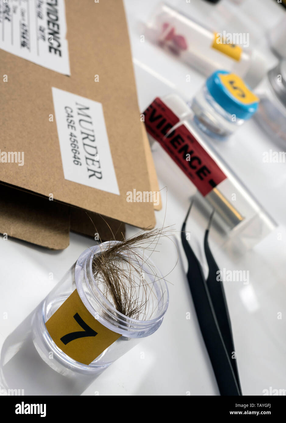Laboratorio Criminalistic, analisi del capello, immagine concettuale Foto Stock