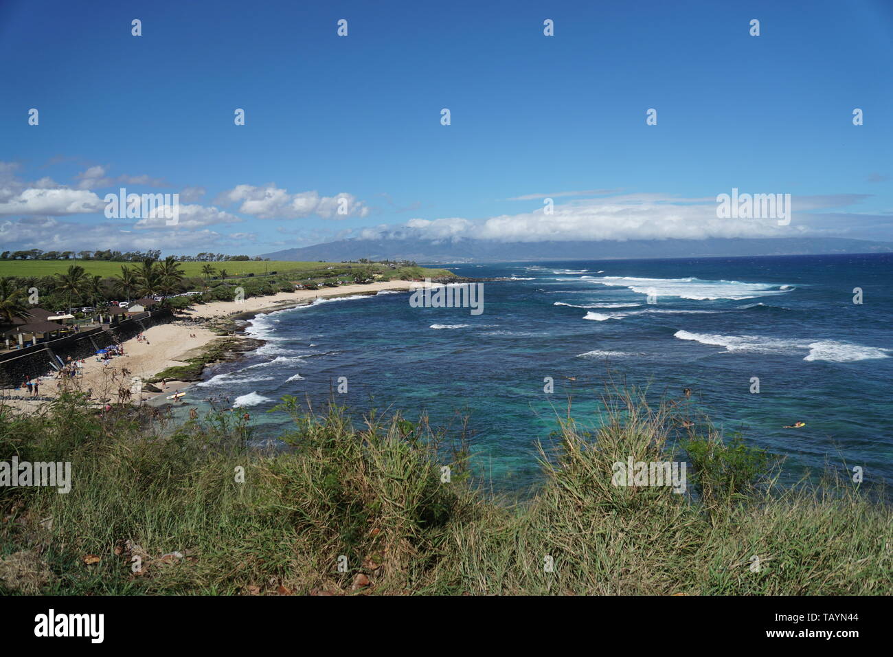 Bella spiaggia e l'oceano scenario da Maui preso dalla famosa strada di Hana Foto Stock