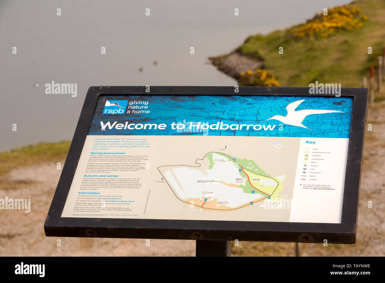 Hodbarrow Riserva Naturale in Millom, Cumbria, Regno Unito. Foto Stock
