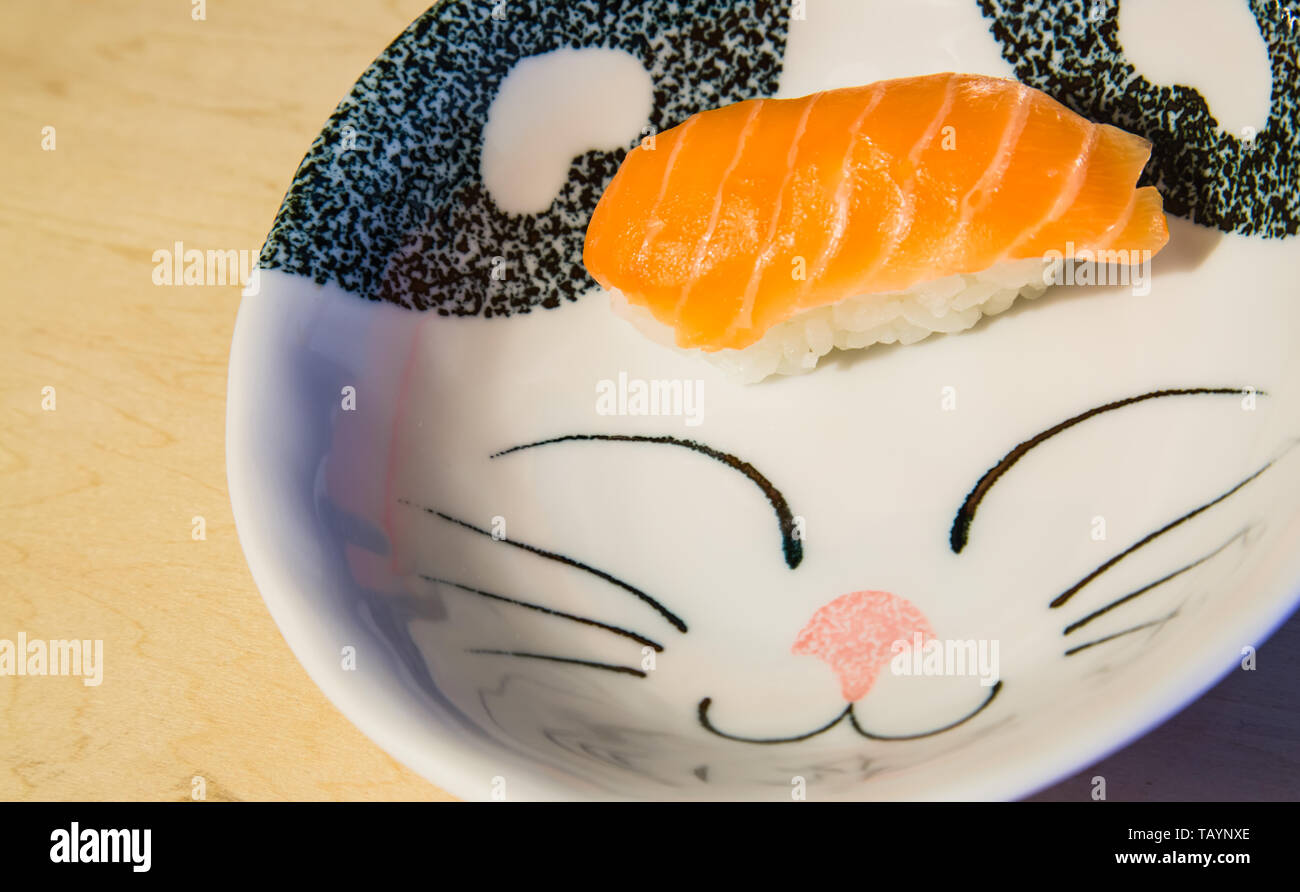 Sushi in una cute cat piastra Foto Stock
