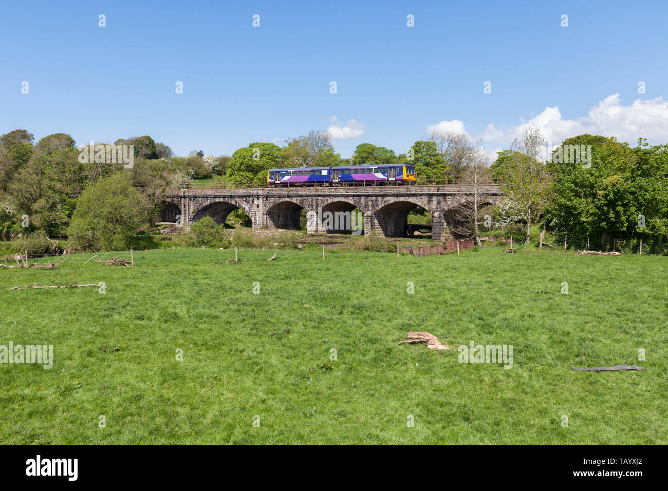 Nord classe rampa 142 sprinter treno attraversando la Lune viadotto a Arkholme sul piccolo north western Bentham linea con un Lancaster al treno di Leeds Foto Stock