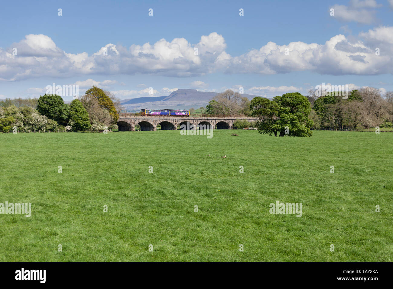 Arriva North rail classe 144 treno pacer che attraversa il viadotto di Meling sulla linea Bentham con Ingleborough alle spalle Foto Stock