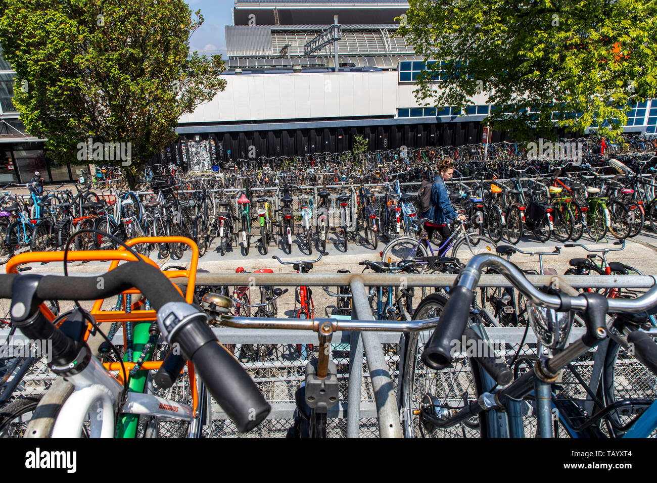 Amsterdam, Paesi Bassi, noleggio spazio parcheggio, su 3 piani, vicino alla stazione centrale e gratuitamente per più di 2500 bike, Foto Stock