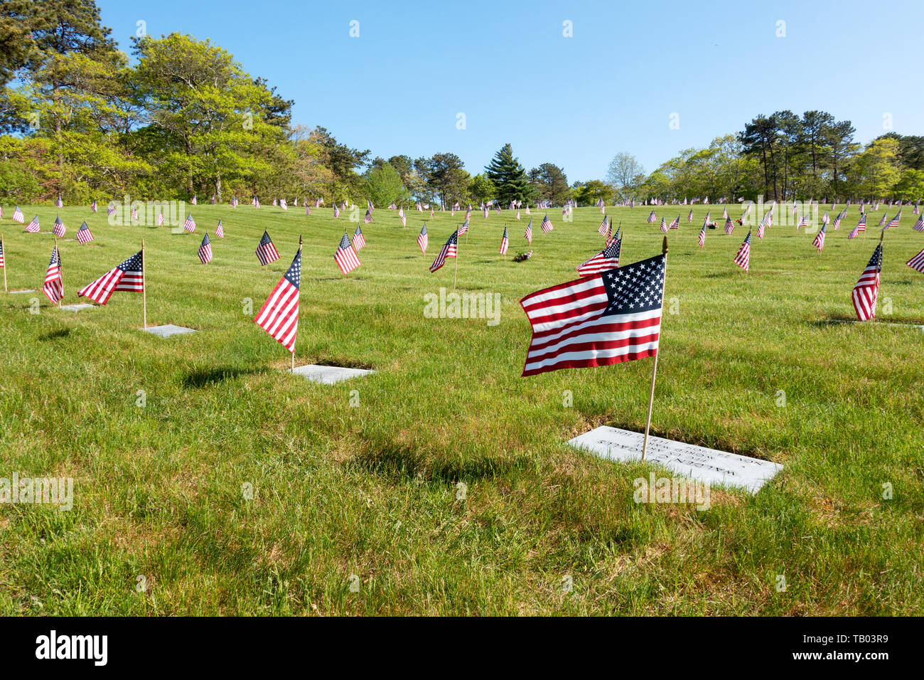 Bandierine americane posto per il Memorial Day a livello nazionale veterani del cimitero di Bourne, Cape Cod, Massachusetts, STATI UNITI D'AMERICA Foto Stock