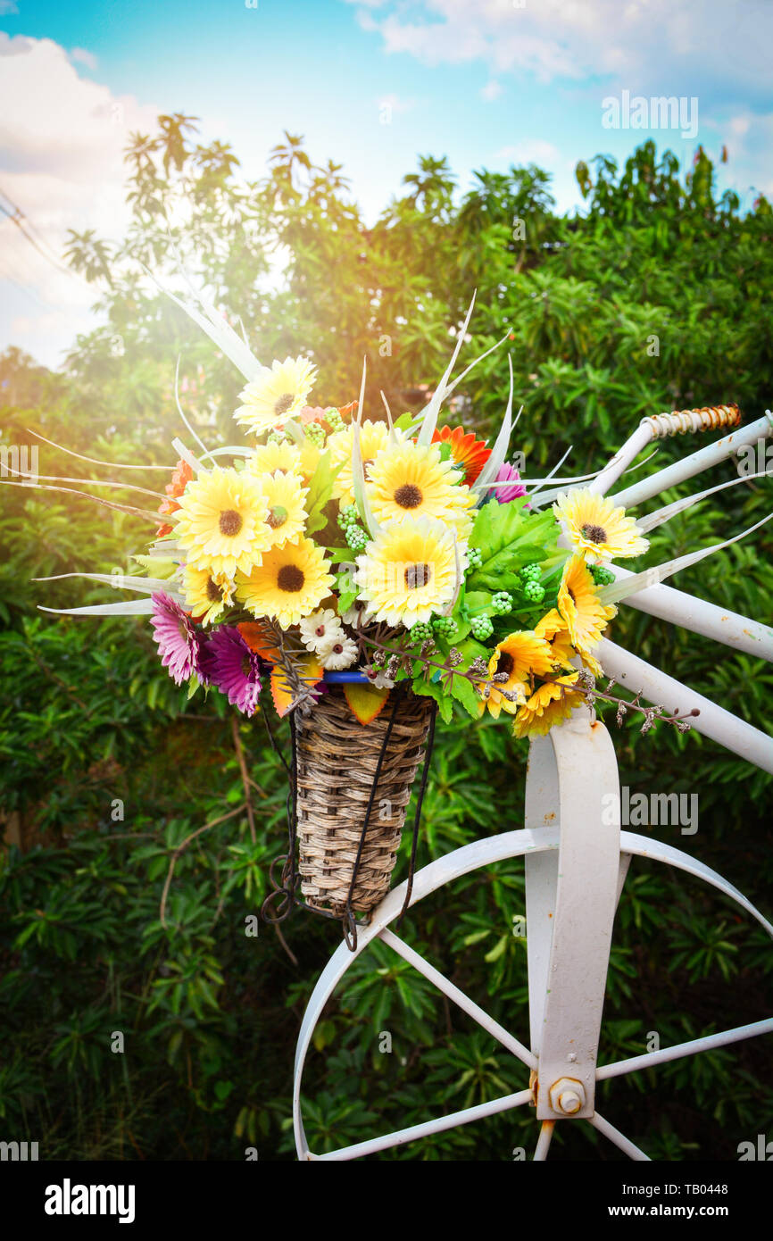 Mazzo di fiori nel cestello di bambù su bianco in bicicletta in estate impianti e sfondo ad albero Foto Stock