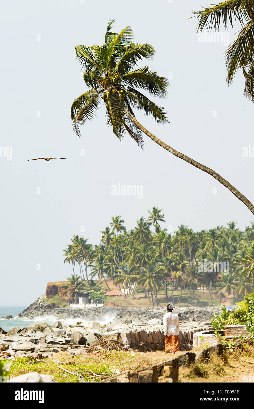 Un uomo sta camminando su una bella e rilassante spiaggia fiancheggiato da verdi palme durante il tramonto mentre un aquila è volare su di lui. Varkala Kerala, India Foto Stock
