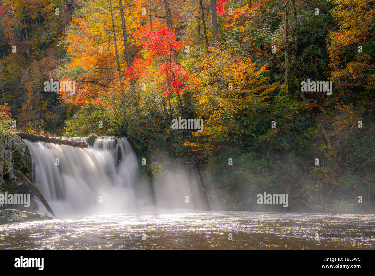 I colori dell'autunno, Abrams Falls, Abrams creek, Great Smoky Mountains National Park, TN, Stati Uniti d'America, da Bill Lea/Dembinsky Foto Assoc Foto Stock