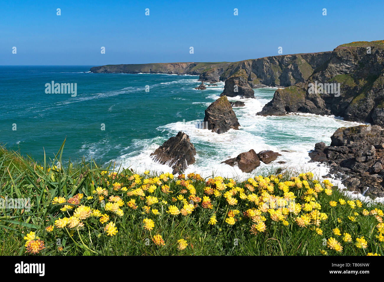 Bedruthan, costa nord, Cornwall, Inghilterra, Regno Unito Foto Stock