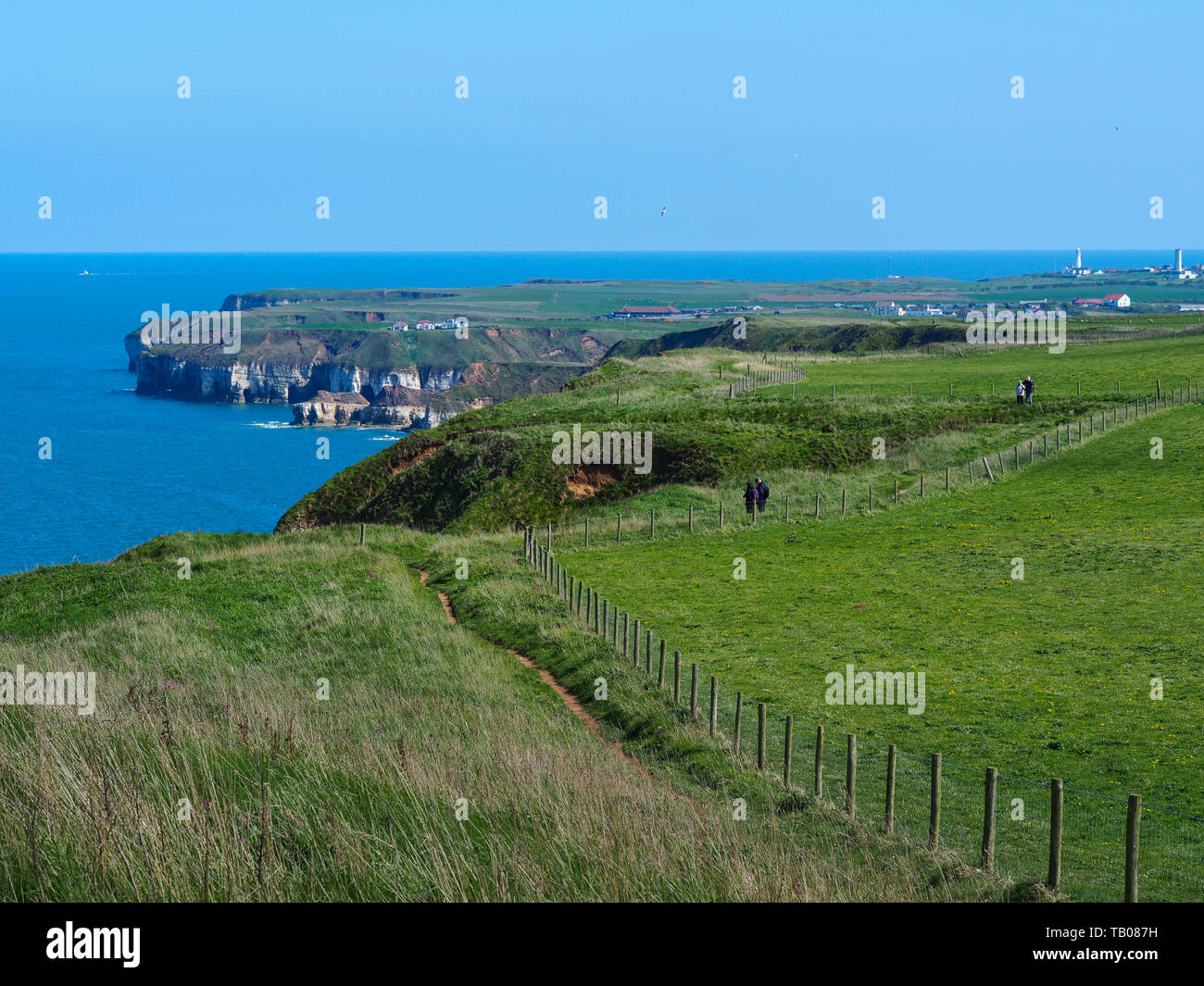 Sentiero costiero a Bempton Cliffs, East Yorkshire, Inghilterra, con una vista al promontorio e Flamborough e dei suoi fari Foto Stock