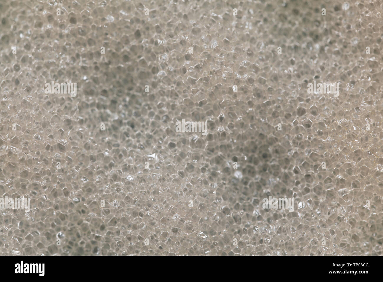 Primo piano della spugna da bagno texture. Foto Stock