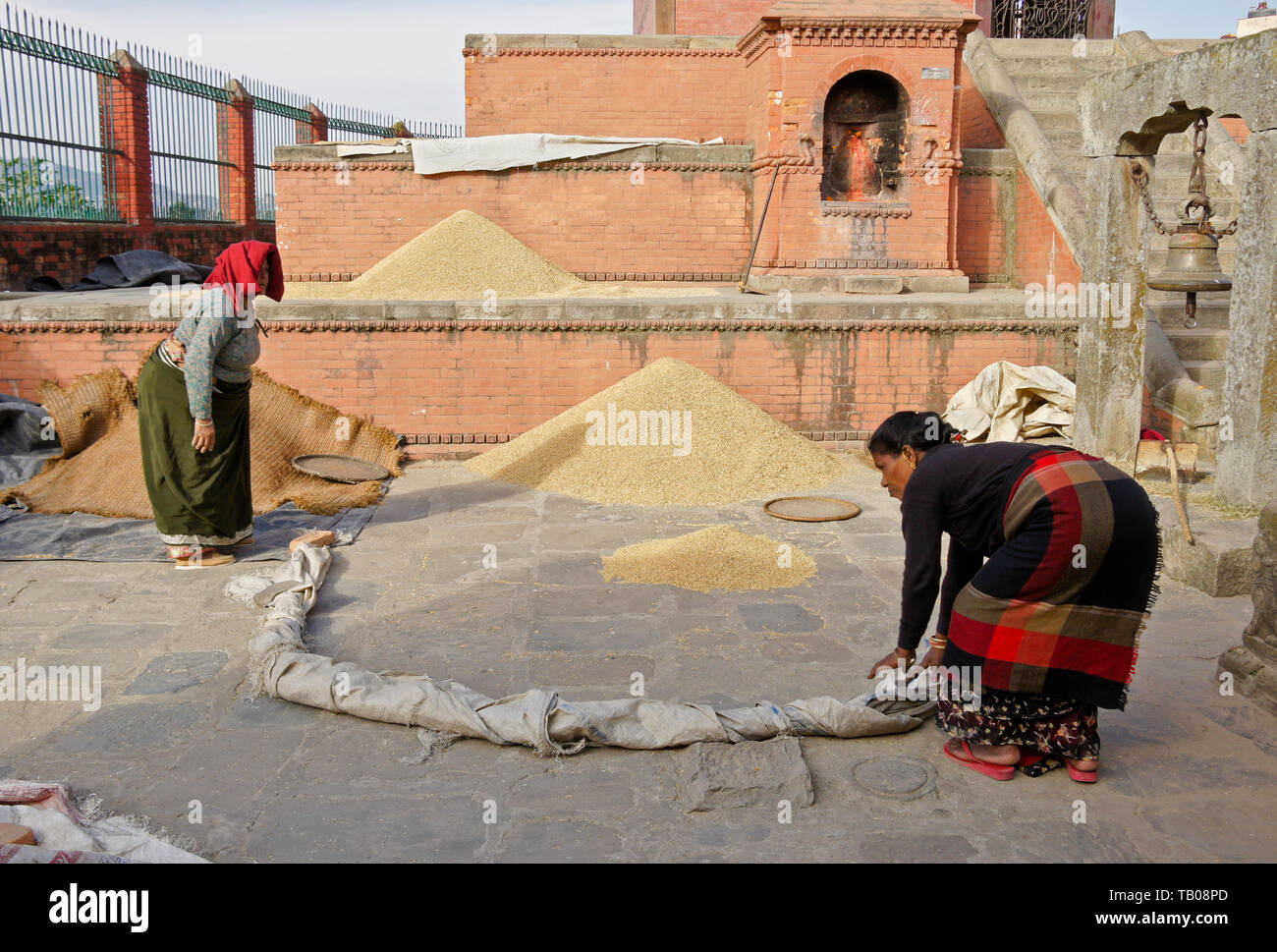 Donne essiccazione riso raccolto nel cortile del santuario indù, Dhulikhel, Nepal Foto Stock