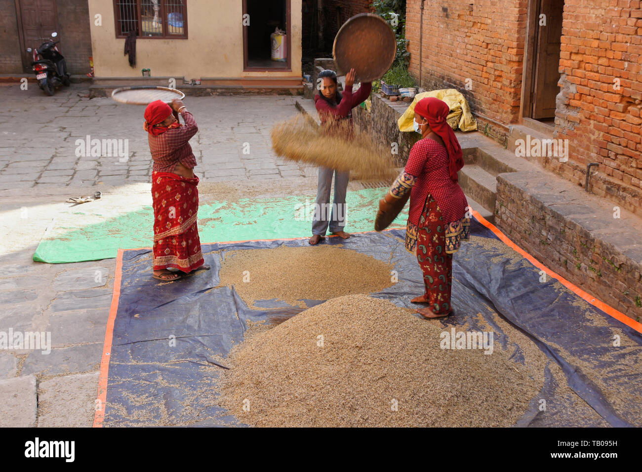 Le donne di spulatura riso raccolto nel cortile compreso fra gli edifici, Dhulikhel, Nepal Foto Stock