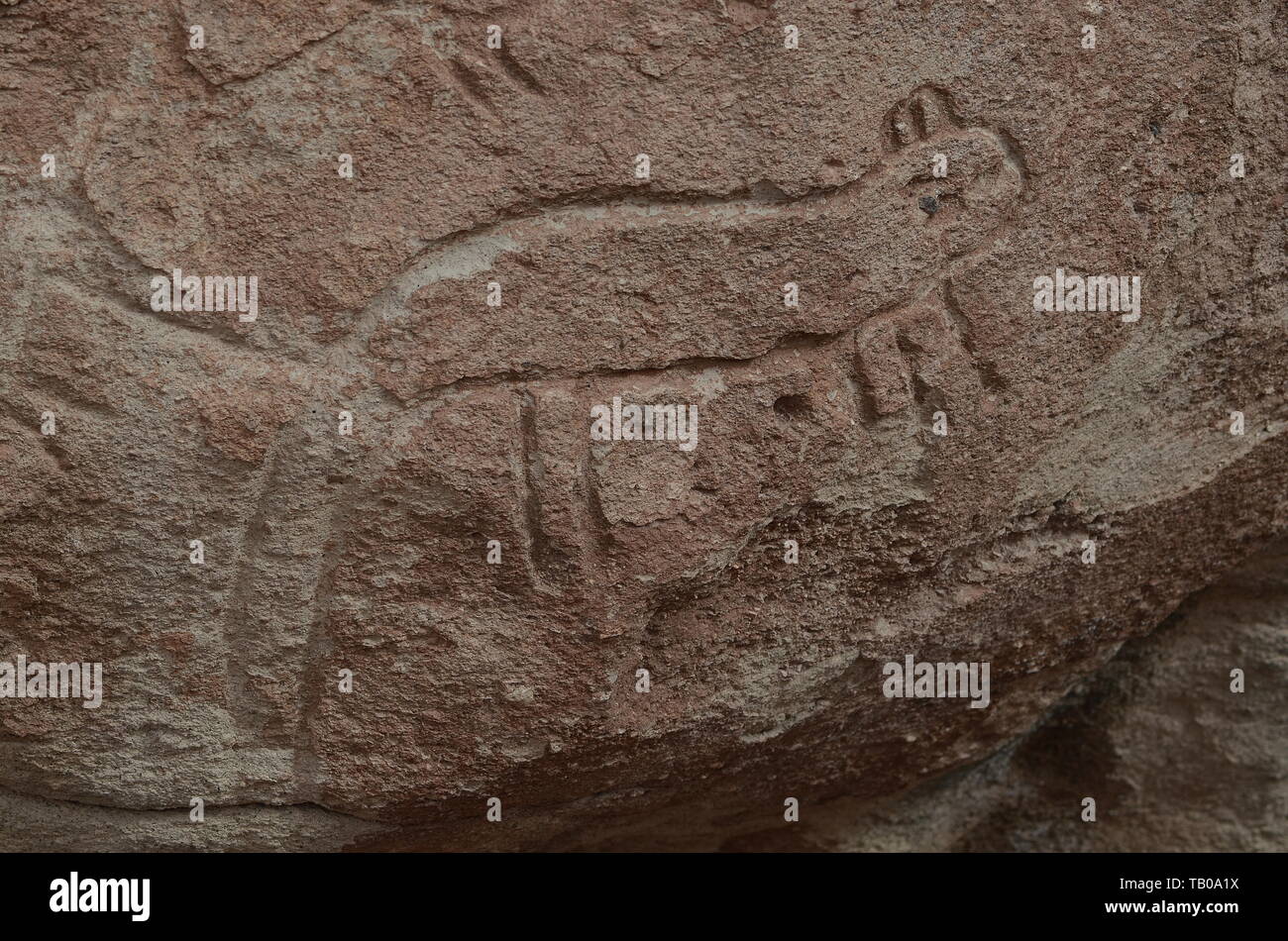 Roccia preistorica arte, PETROGLIFI YERBAS A BUENOS, Atacama, Cile. Foto Stock