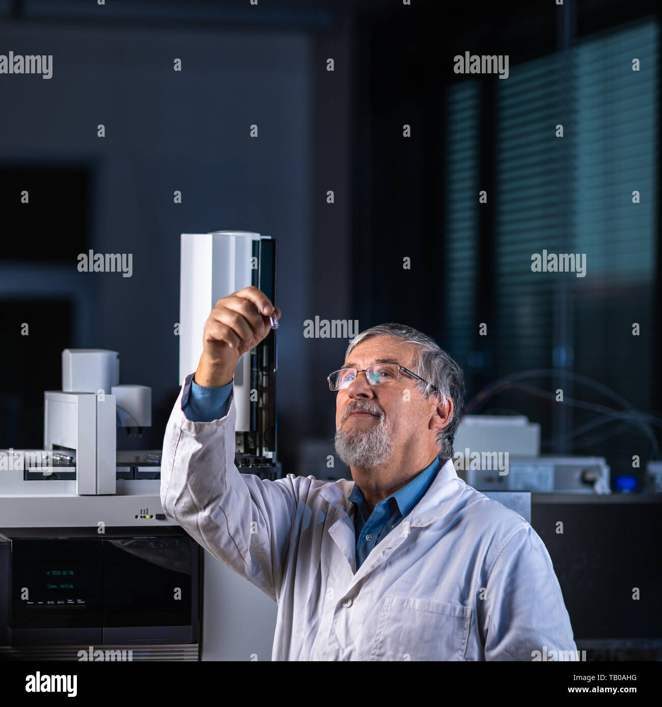 Senior Scientist in un laboratorio di chimica effettuando ricerche - guardando la gas cromatografia campioni, preparare l'analisi su un moderno chromatograp gas Foto Stock