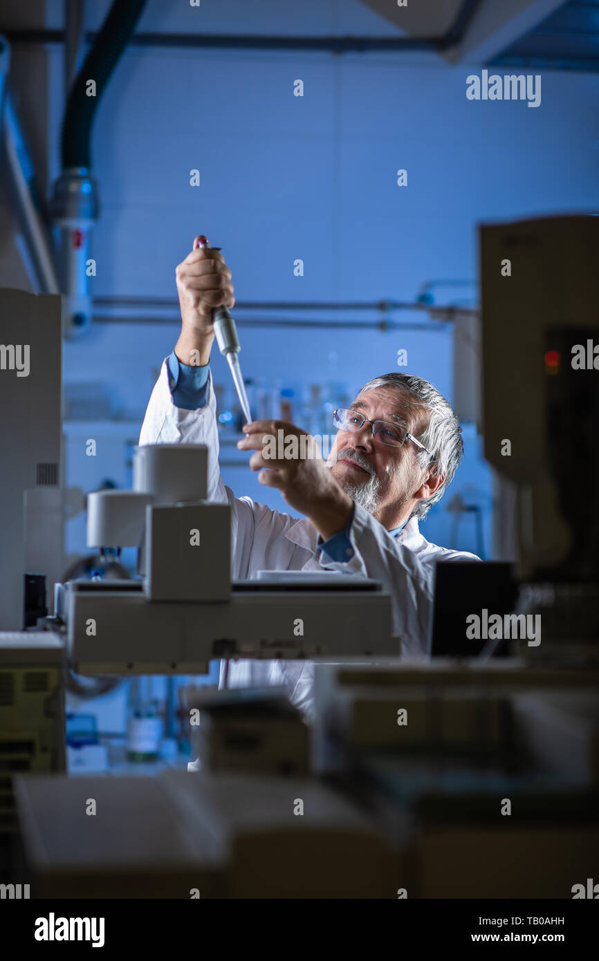 Senior Scientist in un laboratorio di chimica effettuando ricerche - guardando la gas cromatografia campioni, preparare l'analisi su un moderno chromatograp gas Foto Stock