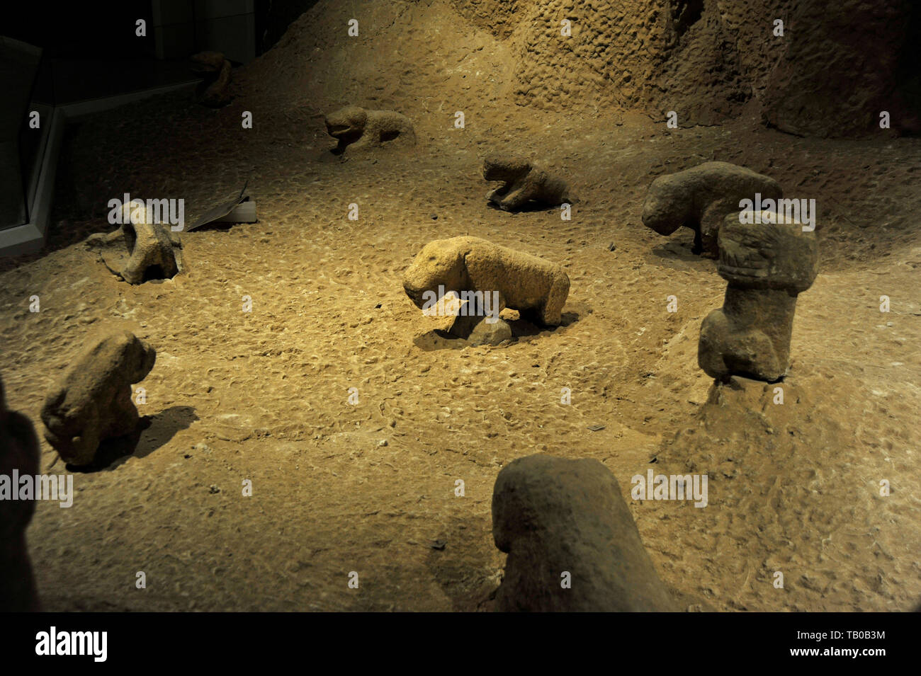 Artefatti da Gobekli Tepe sul display nel museo di Sanliurfa, Turchia Foto Stock Artefatti da Gobekli Tepe sul display nel museo di Sanliurfa, Turchia Foto Stock