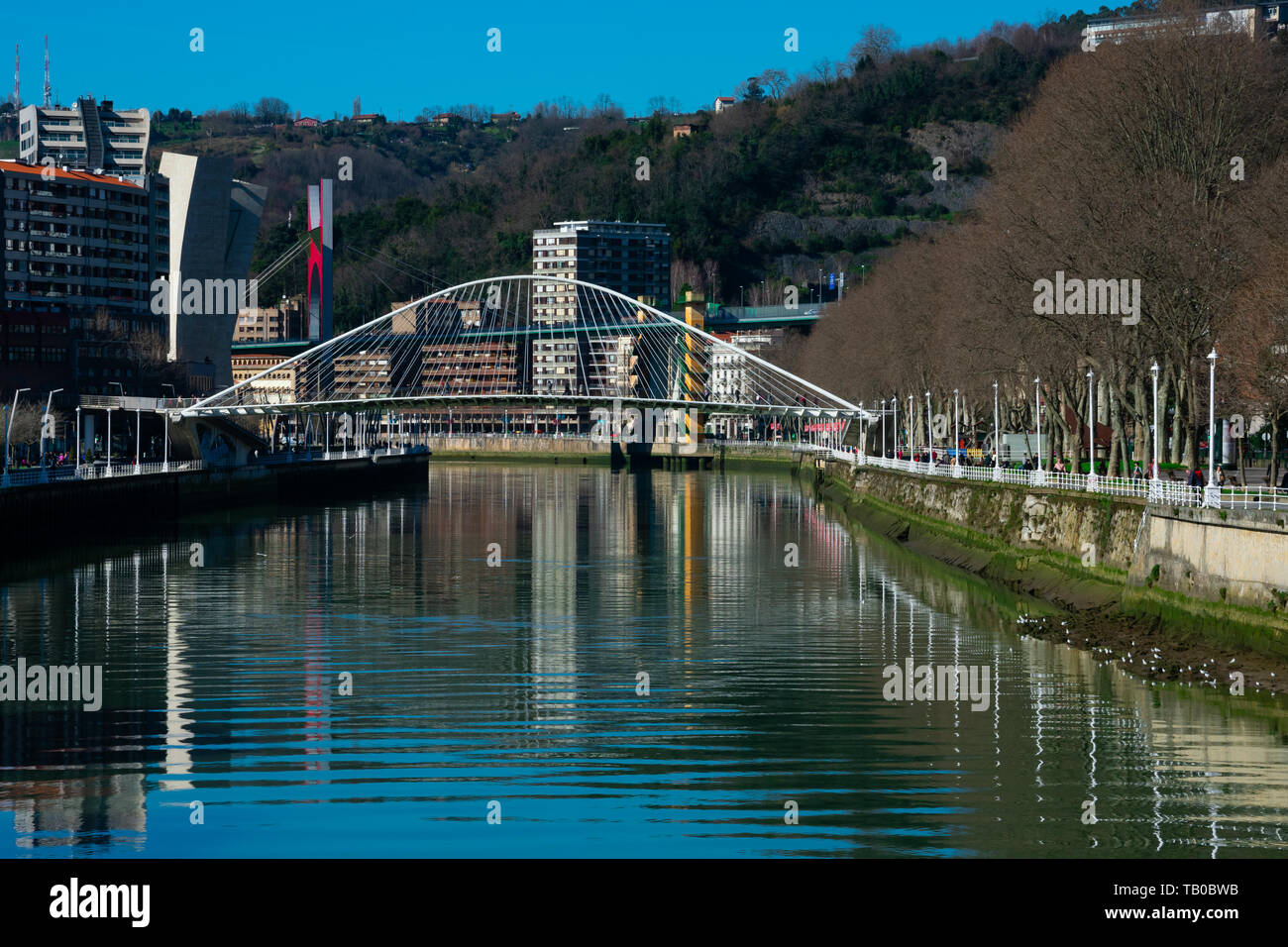 Bilbao, Spagna. Febbraio 13, 2019. Ponte Zubizuri (Puente del Campo Volantin), è un legato arch passerella attraverso il fiume Nervion. Arq Santiago Calat Foto Stock