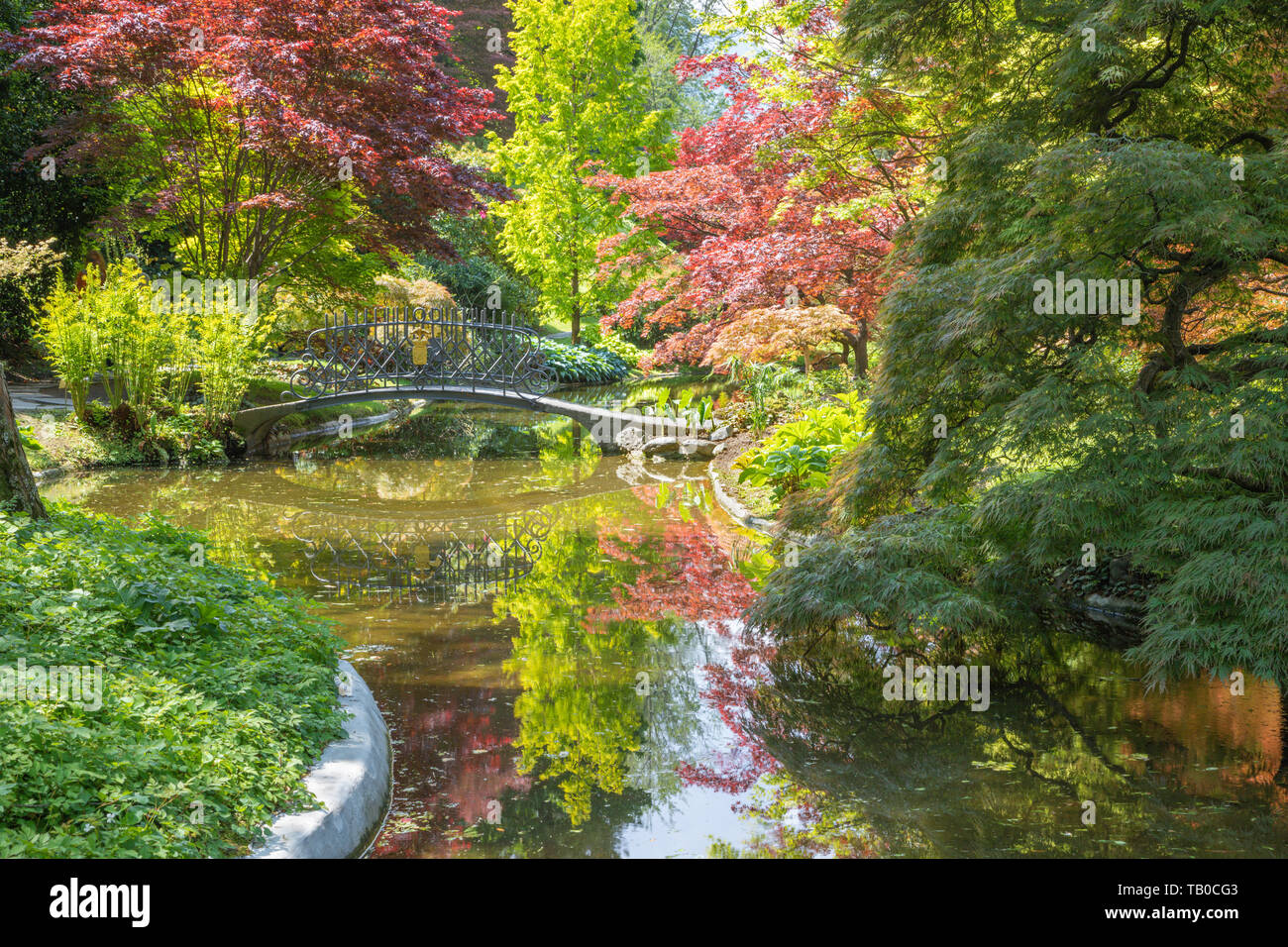 Bellagio - i giardini di Villa Melzi. Foto Stock