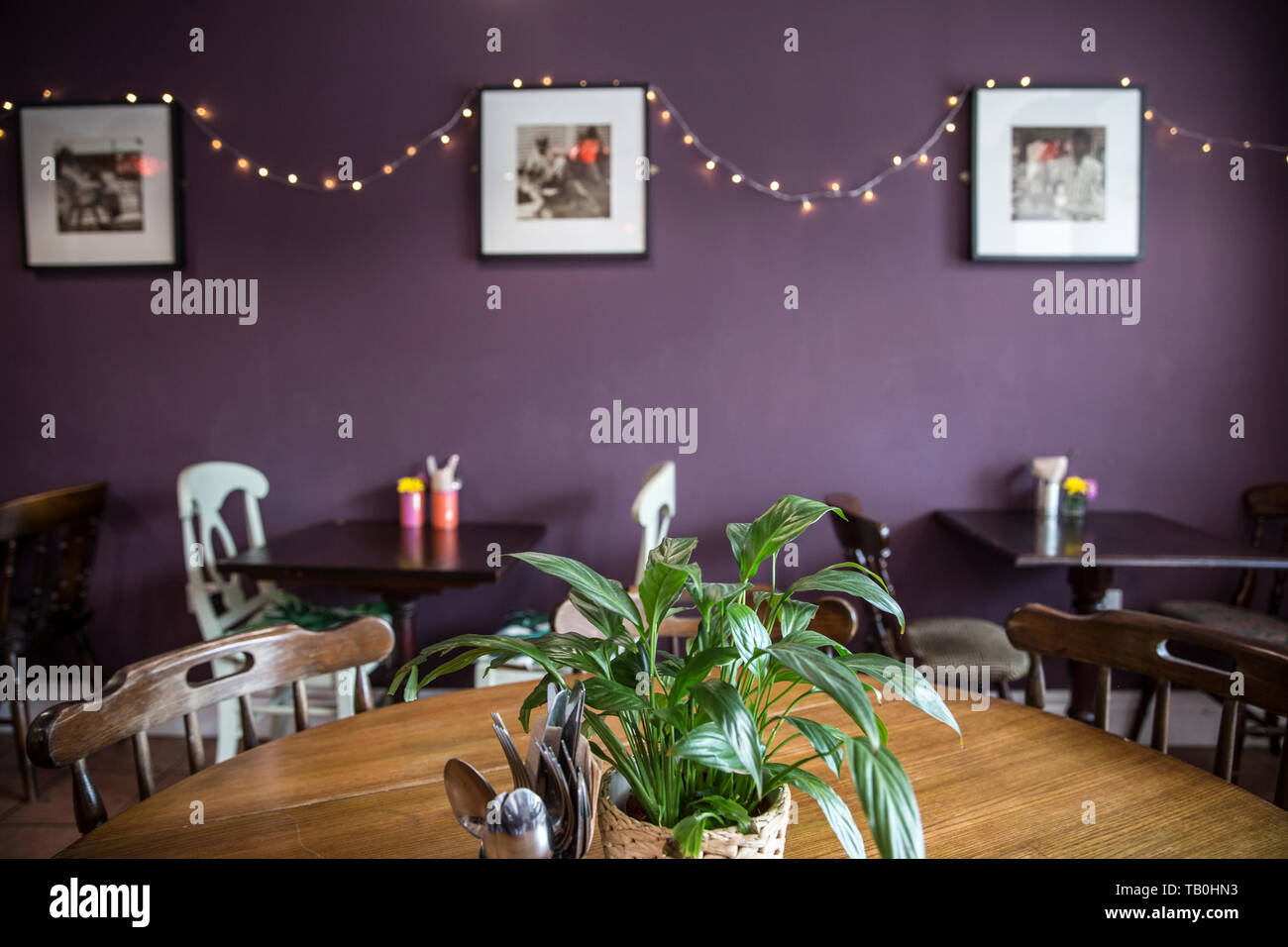 Amrutha Lounge, vegan food Earlsfield, a sud-ovest di Londra, England, Regno Unito Foto Stock