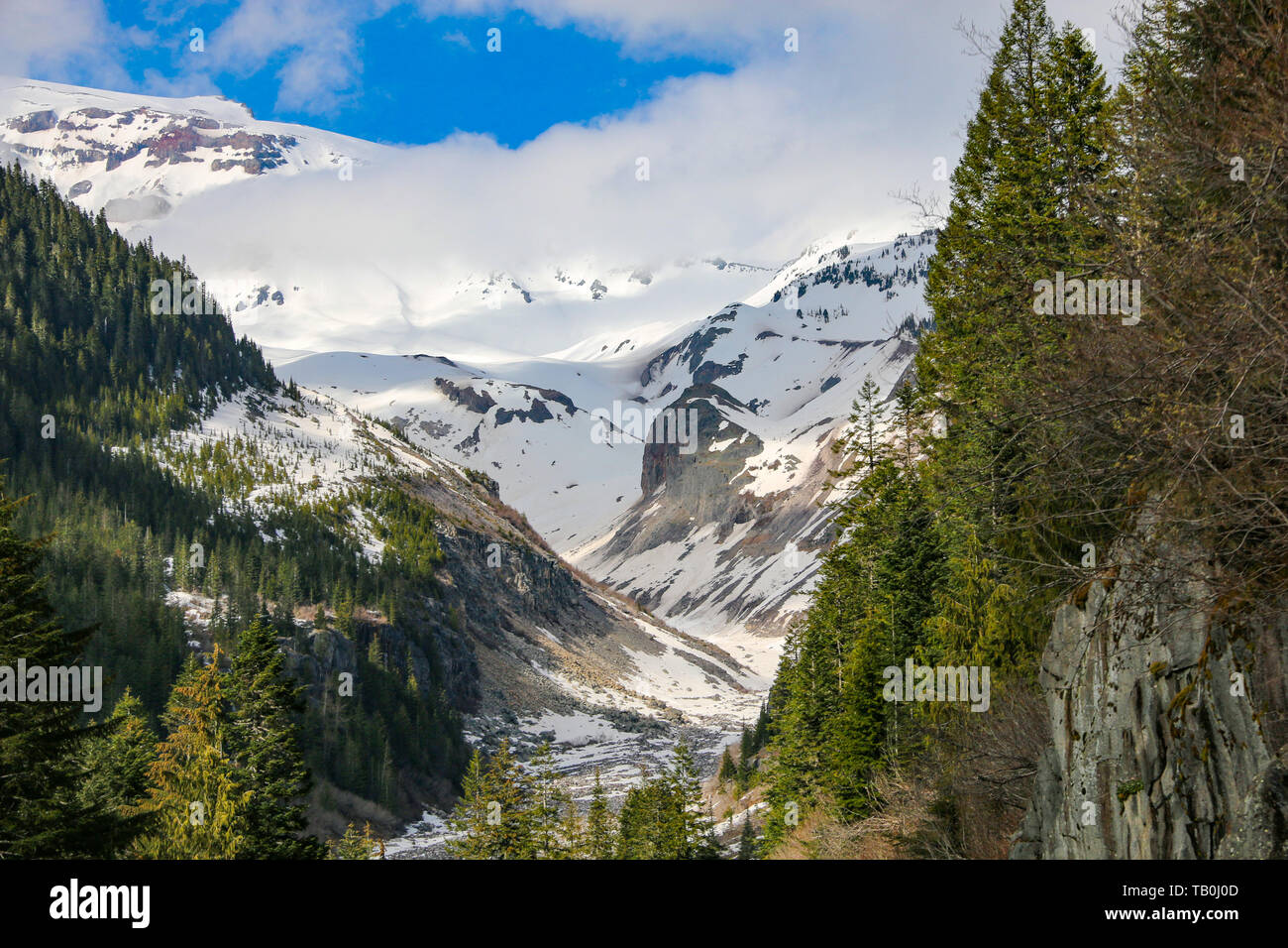 Fiume Nisqually, il Parco Nazionale del Monte Rainier Foto Stock