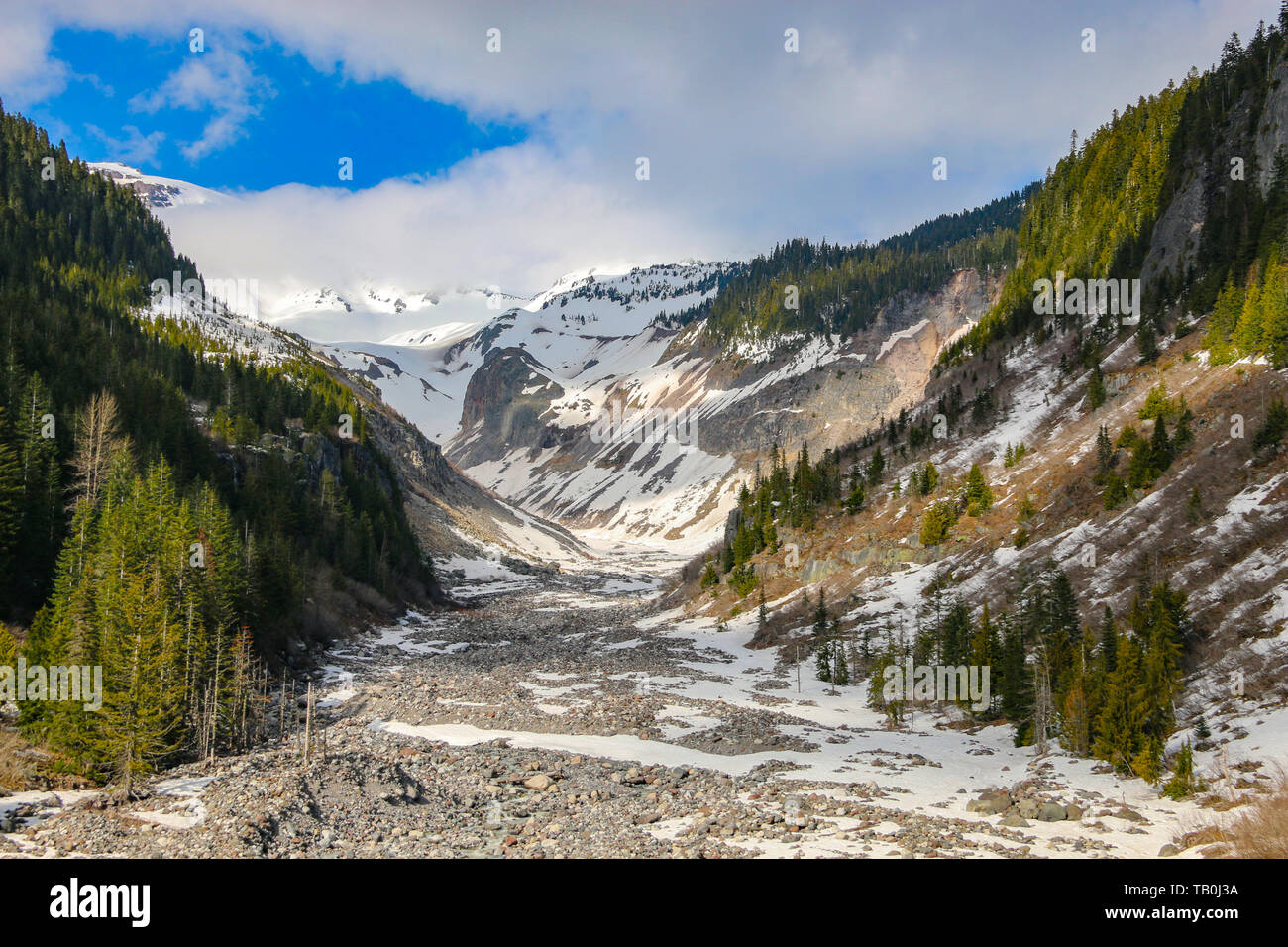 Fiume Nisqually, il Parco Nazionale del Monte Rainier Foto Stock