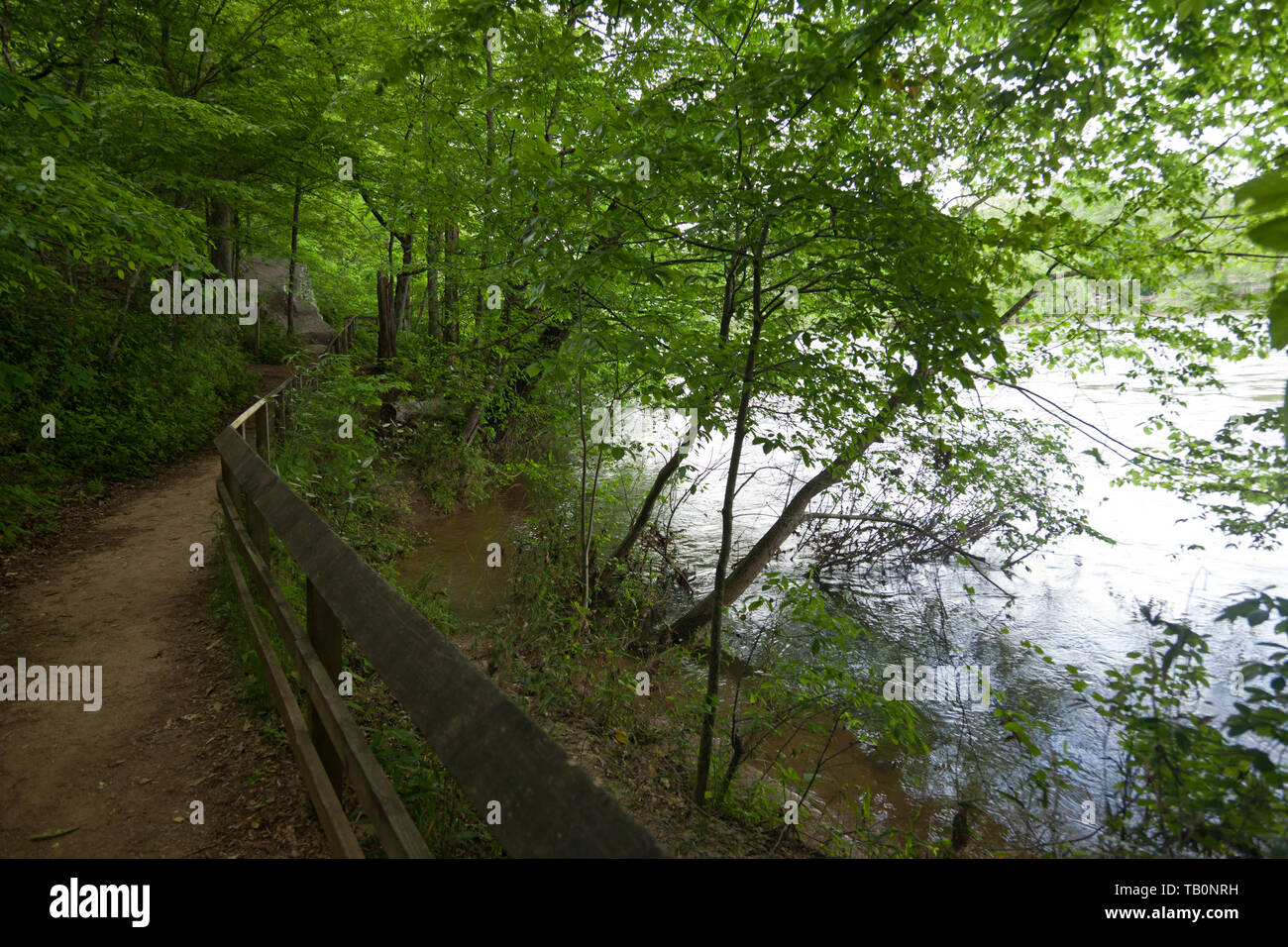 Sul sentiero che dal fiume Chattahoochee Foto Stock