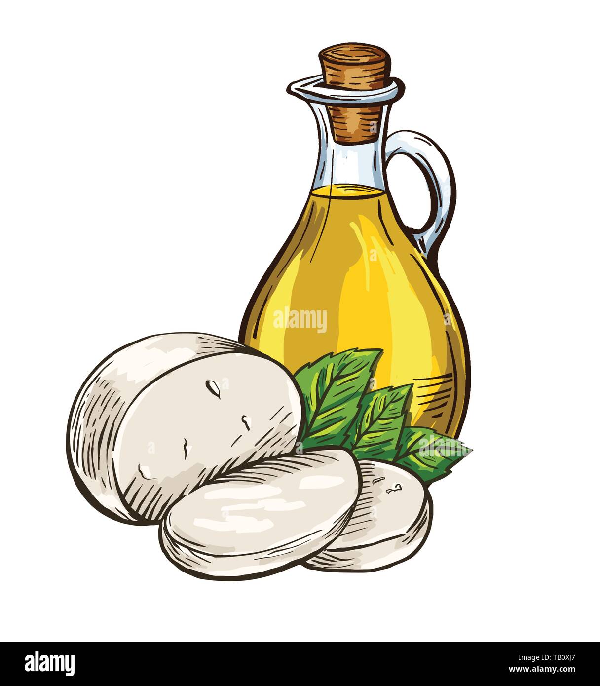 Olio di oliva in una bottiglia di vetro con formaggio mozzarella e le foglie di basilico. Il cibo italiano. Disegnato a mano elemento di design. Vintage incisione vettoriale illustrazione per Illustrazione Vettoriale