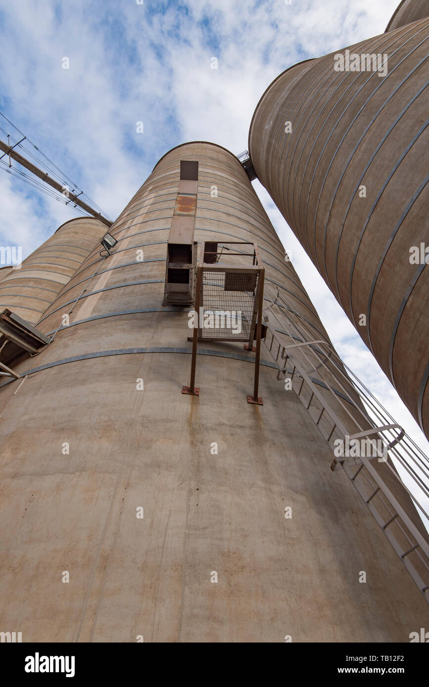 Guardando verso l'alto la venatura verticale silos in città di Burren Junction, nel nord-ovest del Nuovo Galles del Sud, Australia Foto Stock