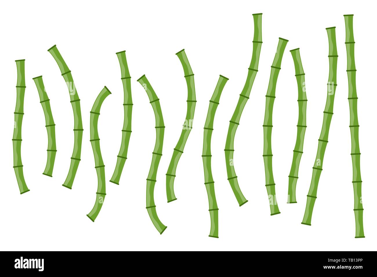 Set di bambù verde rami isolati. Illustrazione Vettoriale. Gli steli di bambù. Icona di bambù. Illustrazione Vettoriale