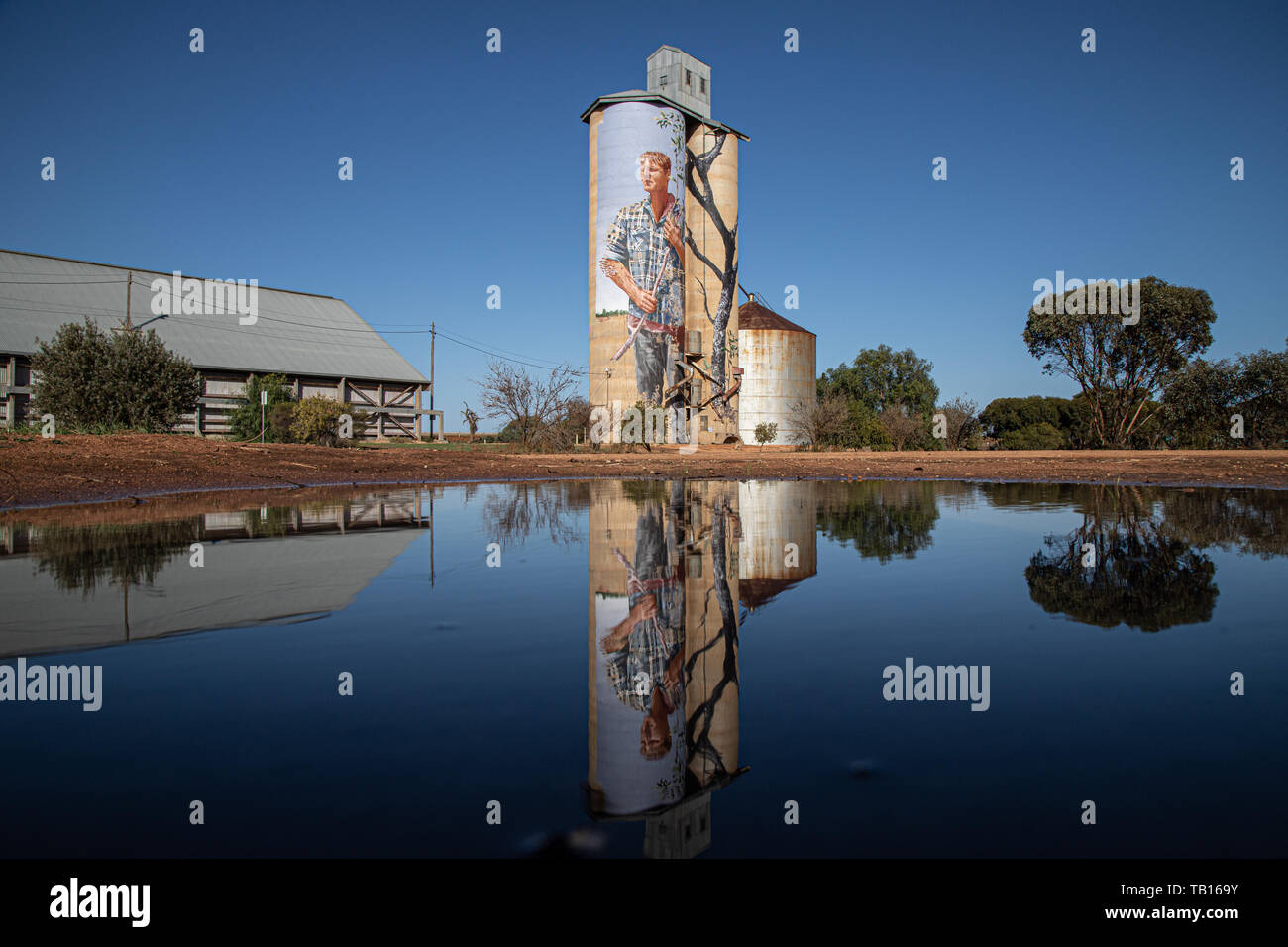 Silo Arte Victoria Australia. Il murale sul lato di un silo di grano, a Patchewollock, murale di Brisbane artista, Fintan Magee. Foto Stock