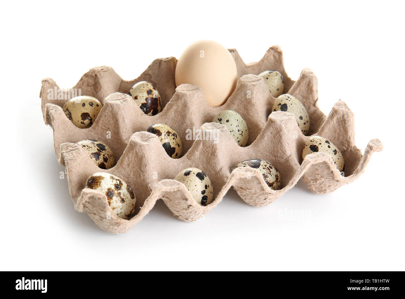 Titolare con materie quaglia e uova di pollo su sfondo bianco Foto Stock