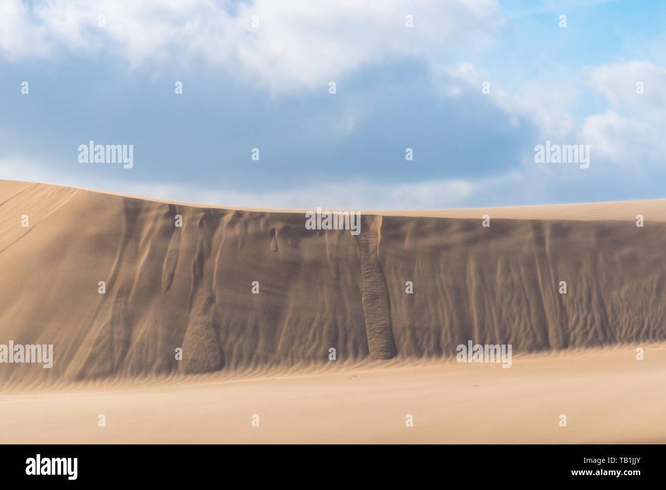 Windy desert dune di sabbia in Danimarca. Piccoli ruscelli di sabbia mostra quanto le dune si muovono. Bellissimo cielo nuvoloso. Foto Stock