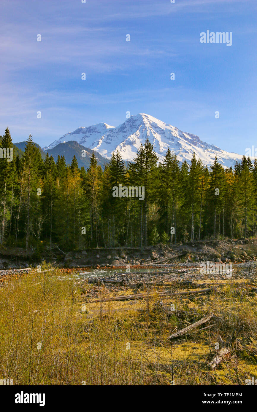 Fiume Nisqually & Mount Rainier, Mt Rainier NP, Washington Foto Stock