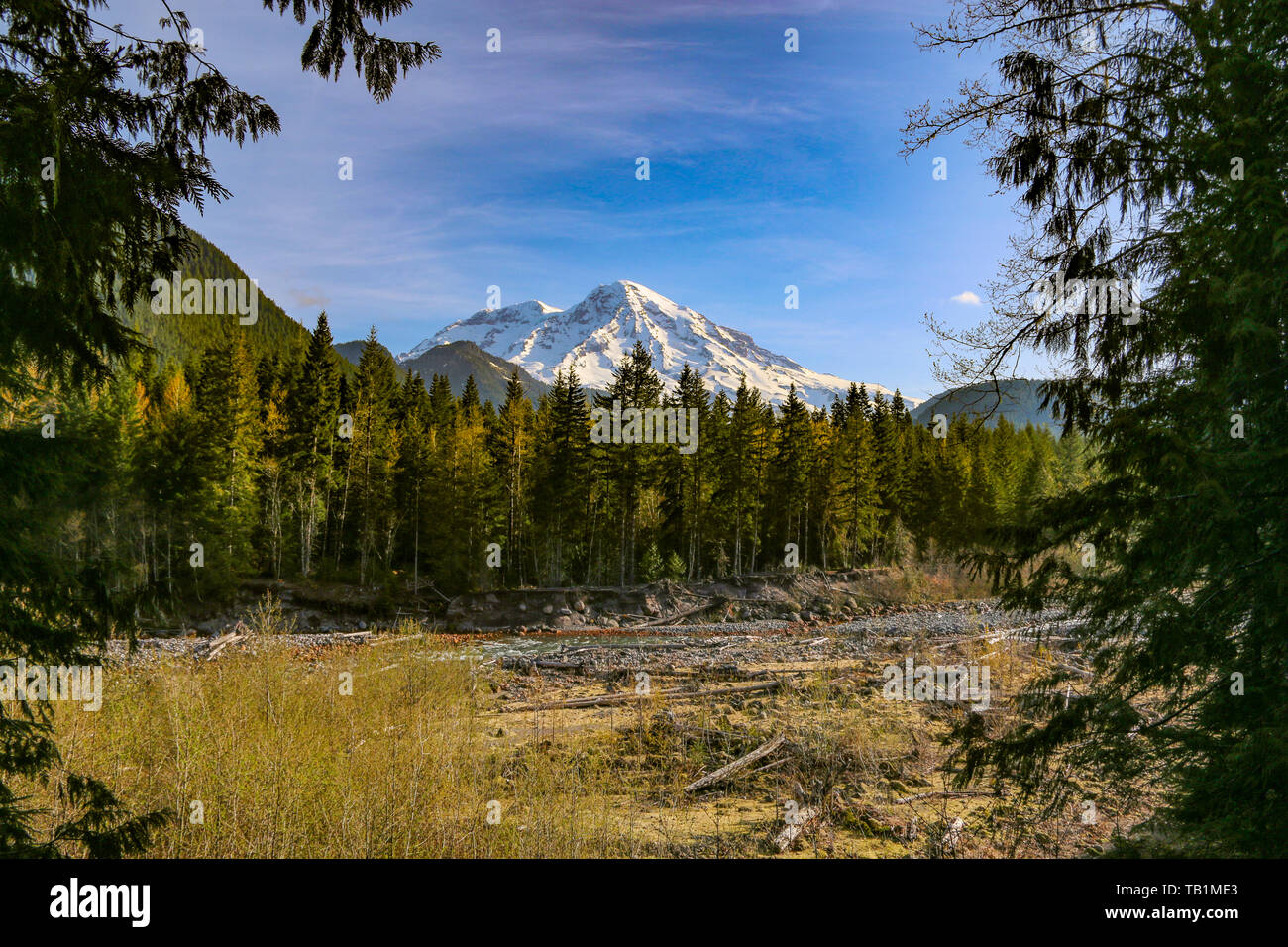 Fiume Nisqually & Mount Rainier, Mt Rainier NP, Washington Foto Stock