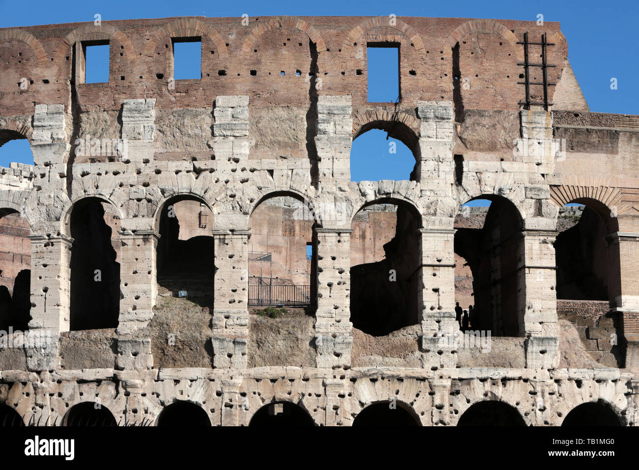 Il Colosseo. Roma. Foto Stock