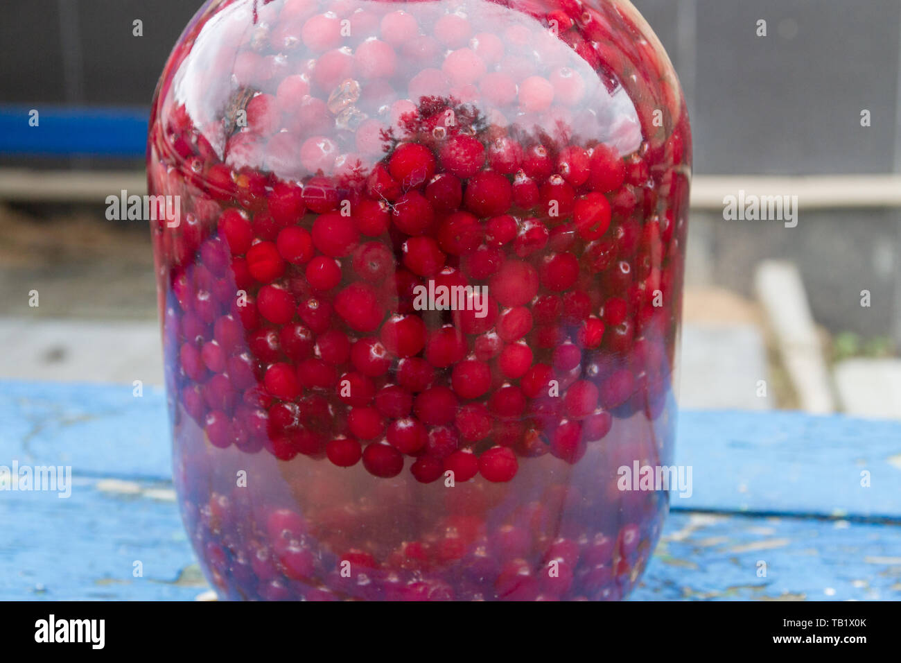 Un sacco di rosse bacche Mirtilli in un grande vaso di vetro con acqua Foto Stock