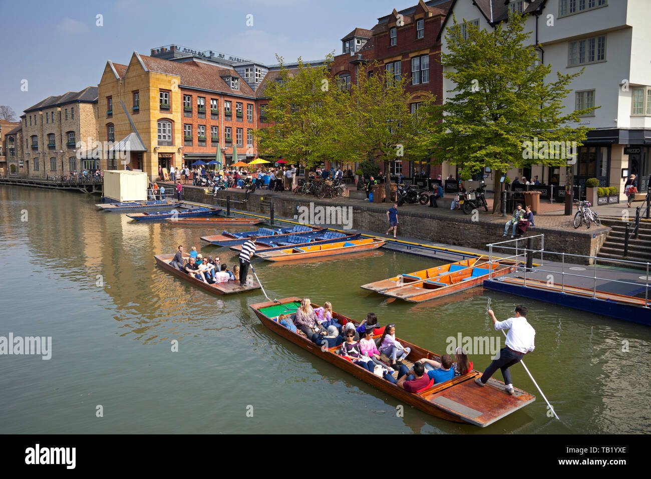 Punting sul fiume Cam, Cambridge, Inghilterra, Regno Unito Foto Stock