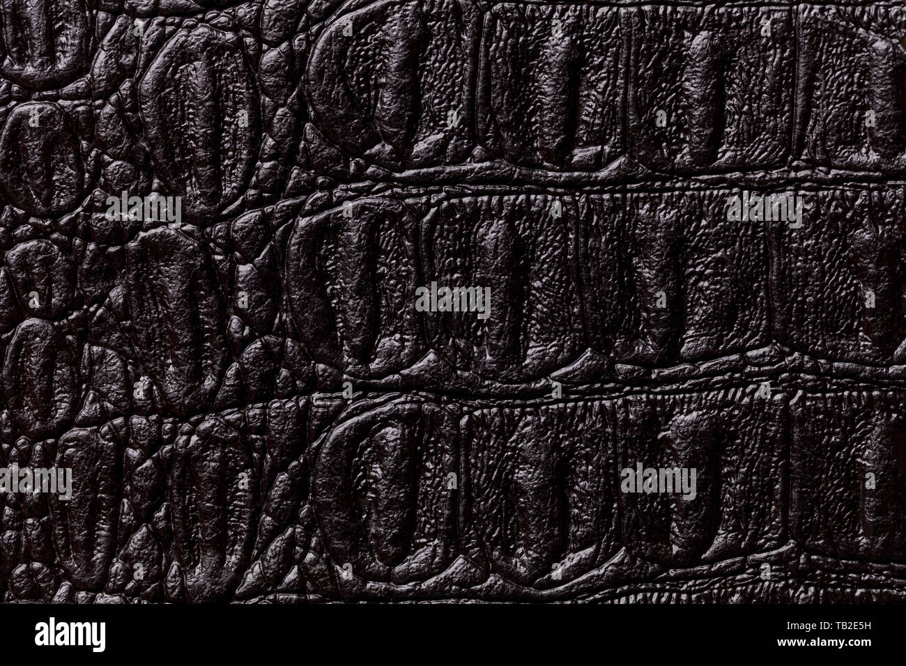 In cuoio nero texture di sfondo, closeup. Dark pelle di rettile, macro. La natura della struttura tessile. Il lusso del coccodrillo sfondo decorativo. Foto Stock